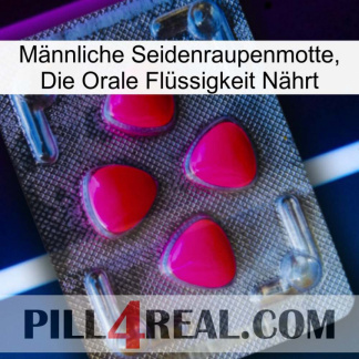 Männliche Seidenraupenmotte, Die Orale Flüssigkeit Nährt 13